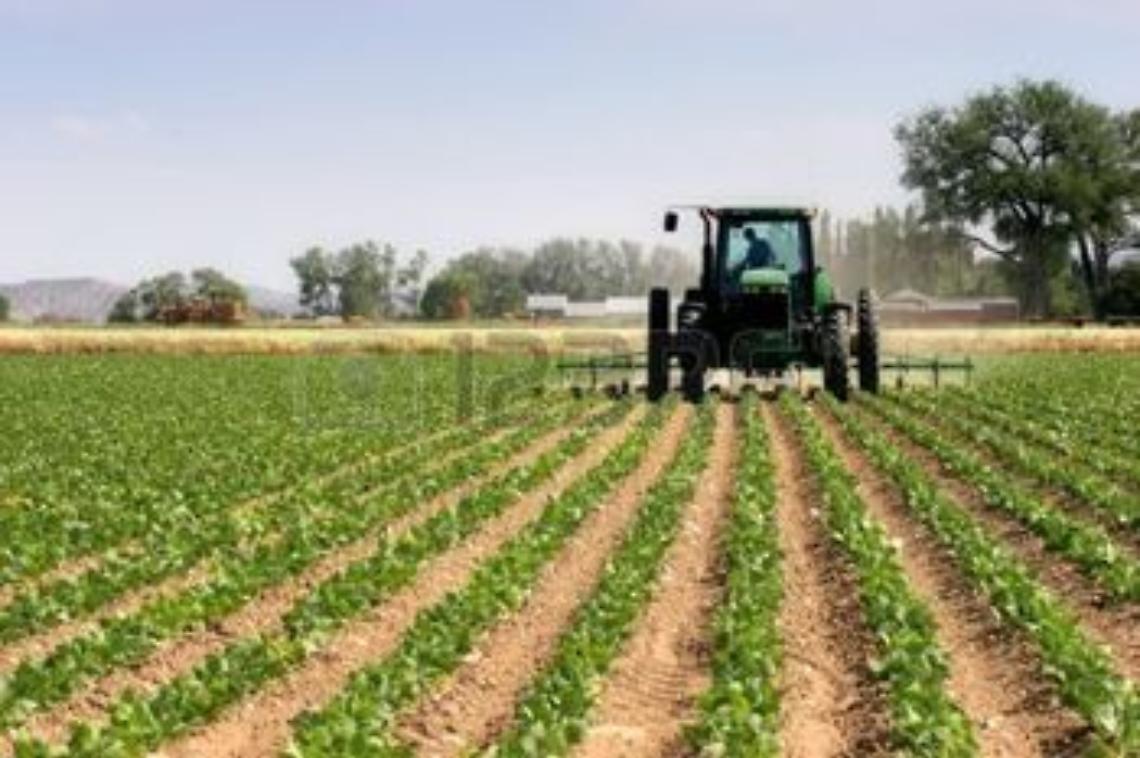 217852-agricoltore-sul-suo-trattore-plowing-campo-rurale-wyoming