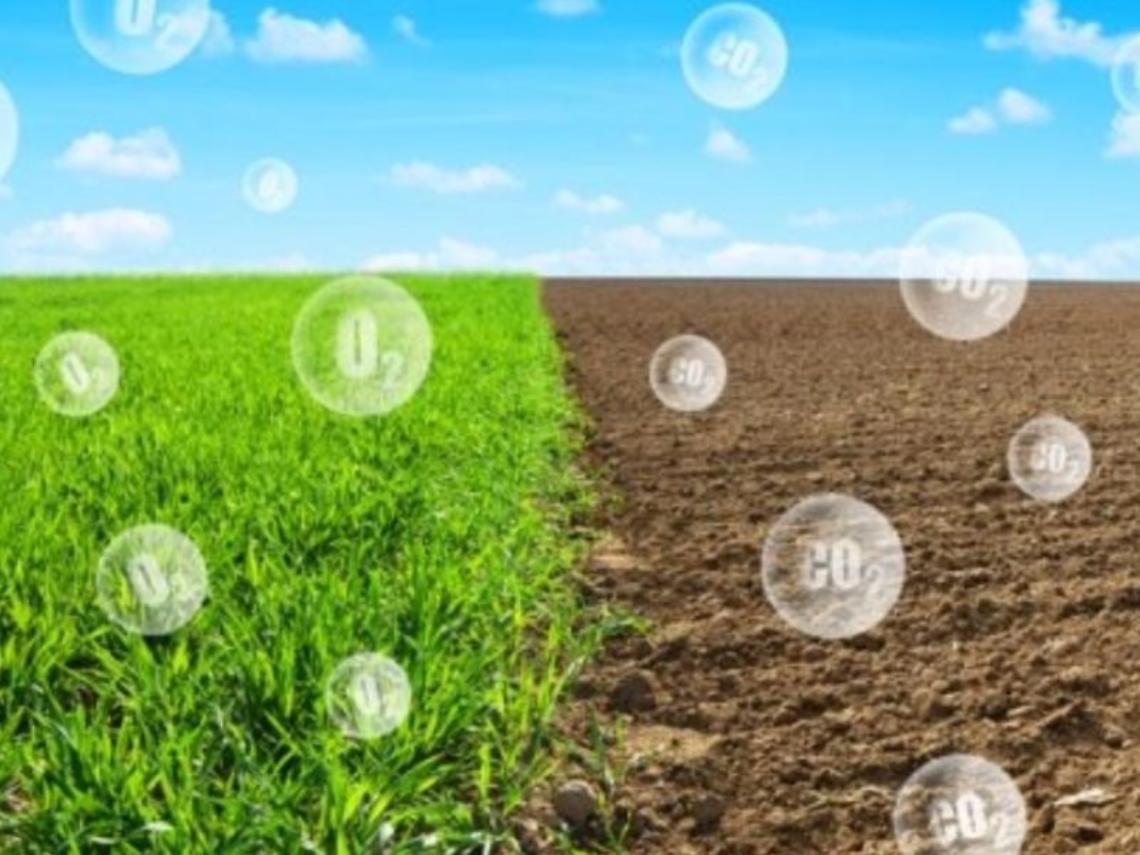 Carbon farming, Confagricoltura soddisfatta per emendamento al DL PNRR che valorizza ruolo di agricoltori e forestali