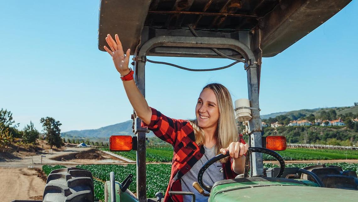 Nuovi agricoltori. Dalla Regione fondi per 510mila euro.