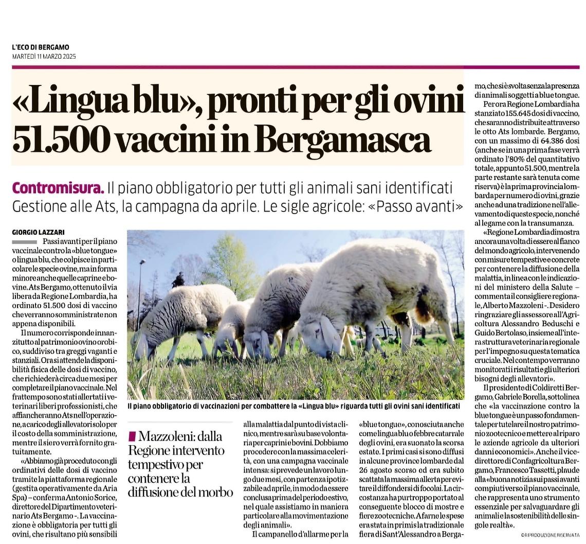 «LINGUA BLU», PRONTI PER GLI OVINI 51.500 VACCINI IN BERGAMASCA