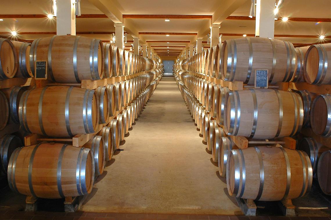 UN’OTTIMA ANNATA - LE GIACENZE IN CANTINA ROVINANO PERÒ LA FESTA