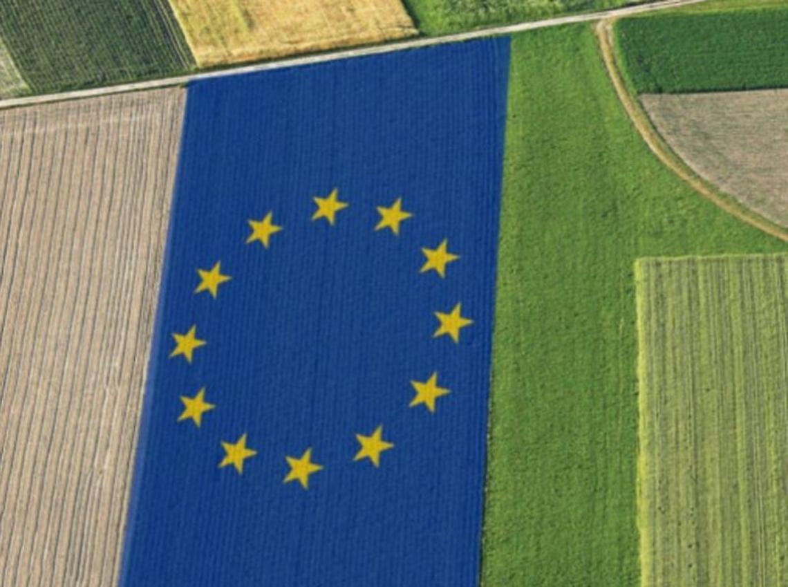 Confagricoltura: bene lo sforzo per semplificare la Pac, la priorità resta il reddito degli agricoltori