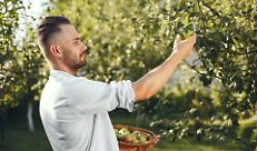 Torna la raccolta self-service: l'appuntamento di Confagricoltura Bergamo amato dalle famiglie