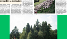 Il semaforo verde dopo le vaccinazioni con oltre 50mila dosi