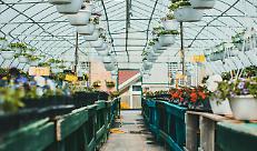 Mattavelli: &laquo;Florovivaismo lombardo in salute, ma occorre un quadro normativo aggiornato&raquo;