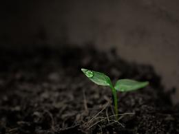 EARTH DAY, CONFAGRICOLTURA: GIORNATA IMPORTANTE PER RICORDARE IL RUOLO DEL SETTORE PRIMARIO
