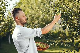 Torna la raccolta self-service: l'appuntamento di Confagricoltura Bergamo amato dalle famiglie