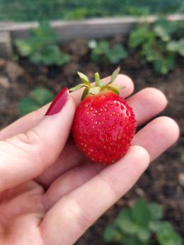 Azienda Agricola Tutti Frutti e Grani