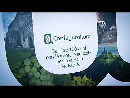 Riassunto Video della Milano Wine Week