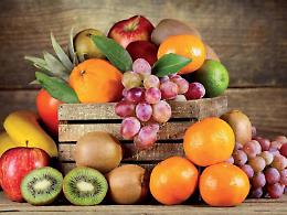ORTOFRUTTA, CONFAGRICOLTURA: SETTORE IN GRAVE SOFFERENZA.