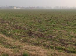 BCAA 6: COPERTURA MINIMA DEL SUOLO