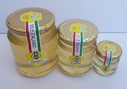 Filiera apistica: Verso un sistema di qualit&agrave; nazionale e una campagna promozionale per il miele italiano
&nbsp;
