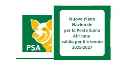 Nuovo Piano Nazionale per la Peste Suina Africana valido per il triennio 2025-2027