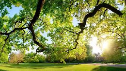 Il verde protagonista: doppio appuntamento a Busto Arsizio e Monza