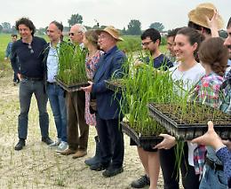 NGT, Boselli: «Avvio del negoziato in Europa passo importante»