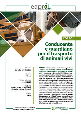 Conducente e guardiano per il trasporto di animali vivi