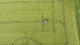 Il Consiglio dei Ministri approva il nuovo Ddl "ColtivaItalia"