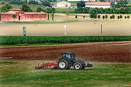 Primo semestre 2025: l&rsquo;agricoltura lombarda cresce grazie a export e lattiero-caseario