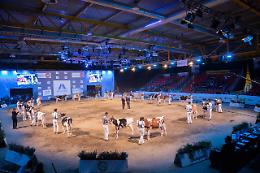 Confagricoltura Lombardia a CremonaFiere.  Focus su salute animale e riduzione farmaci