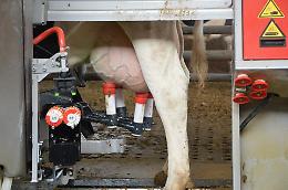 Latte: trovato l'accordo sul prezzo