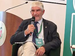 Accordo Ue -India, Boselli: &laquo;Bene le valutazioni di Copa-Cogeca. Ora attenzione alla fase operativa&raquo;