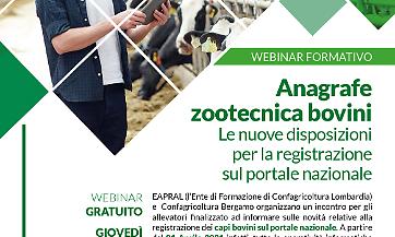 ANAGRAFE_ZOOTECNICA_BOVINI