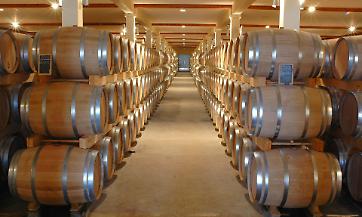 UN’OTTIMA ANNATA - LE GIACENZE IN CANTINA ROVINANO PERÒ LA FESTA