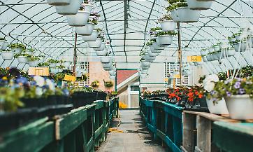 Mattavelli: &laquo;Florovivaismo lombardo in salute, ma occorre un quadro normativo aggiornato&raquo;