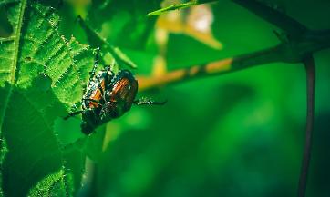 Le domande potranno essere presentate a partire dal 1&deg; aprile 2026, dotazione finanziaria di 6,2 milioni di euro