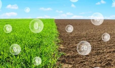 Carbon farming, Confagricoltura soddisfatta per emendamento al DL PNRR che valorizza ruolo di agricoltori e forestali