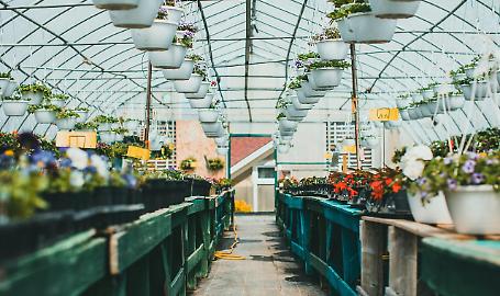 Mattavelli: &laquo;Florovivaismo lombardo in salute, ma occorre un quadro normativo aggiornato&raquo;