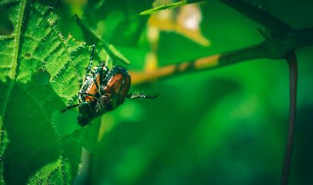 Le domande potranno essere presentate a partire dal 1&deg; aprile 2026, dotazione finanziaria di 6,2 milioni di euro